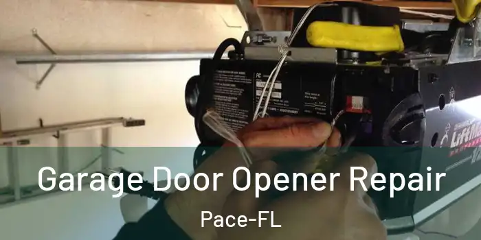  Garage Door Opener Repair Pace-FL