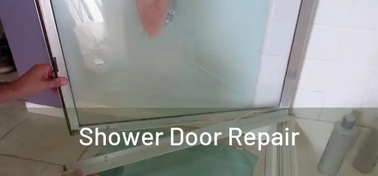  Shower Door Repair 